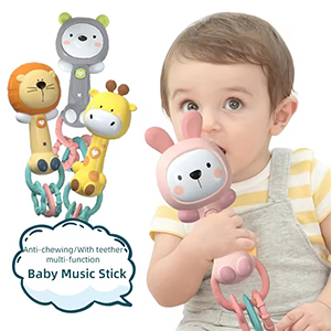 rattle teether